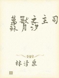 万兽之主司空靖苏月汐