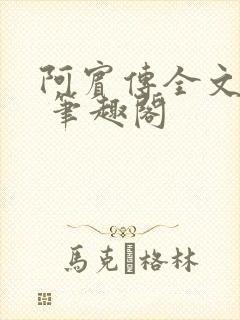 阿宾传全文阅读 笔趣阁封面