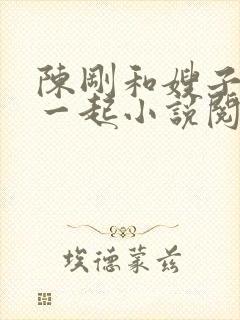 陈刚和嫂子妹妹一起小说阅读全文封面
