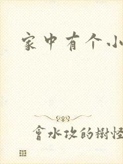 家中有个小姨子