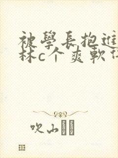 被学长抱进小树林c个爽软件