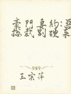 豪门妻约:恶魔总裁别硬来封面