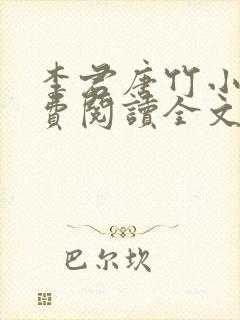 李君唐竹小说免费阅读全文无弹窗