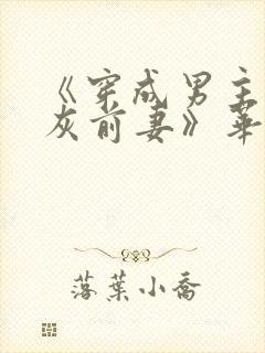 《穿成男主的炮灰前妻》华阙阙