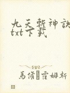 九天斩神诀林辰txt下载