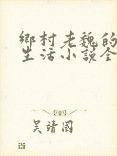乡村老魏的幸福生活小说全文阅读