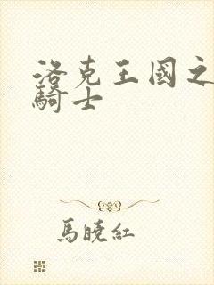 洛克王国之圣龙骑士