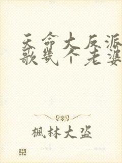天命大反派顾长歌几个老婆封面