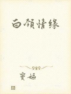 白领情缘
