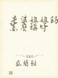 老婆姐姐的老公怎么称呼封面