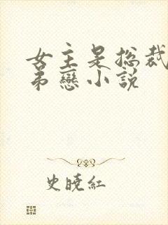 女主是总裁的姐弟恋小说封面