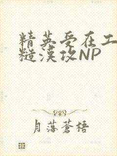 精英受在工地被糙汉攻NP