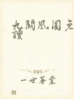 九阙凰图免费阅读封面