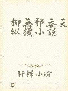 柳无邪吞天神鼎纵横小说