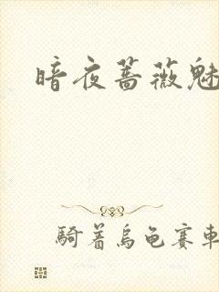 暗夜蔷薇魅