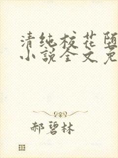 清纯校花堕落记小说全文免费阅读