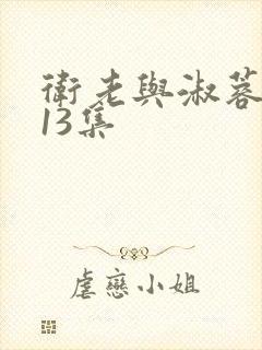 卫老与淑蓉1一13集