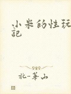 小米的性玩具日记
