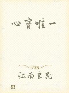 心宝唯一
