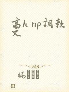 高h np调教文