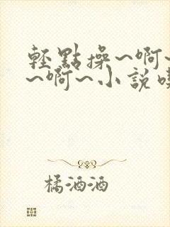 轻点操~啊~嗯~啊~小说吃奶