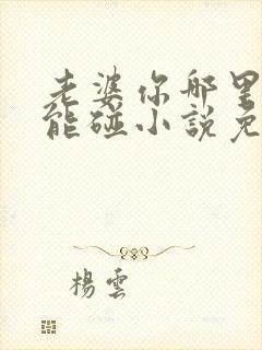 老婆你哪里我不能碰小说免费阅读全文
