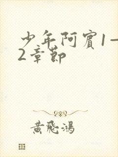 少年阿宾1—72章节