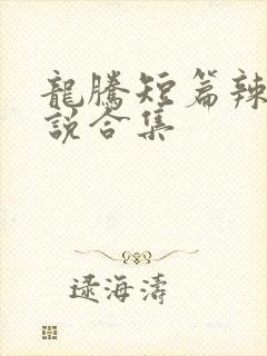 龙腾短篇辣文小说合集