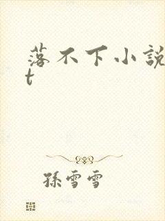落不下小说txt