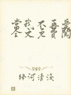 当我不再爱你时全文免费阅读封面