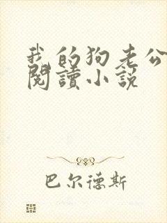 我的狗老公在线阅读小说