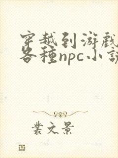 穿越到游戏里和各种npc小说