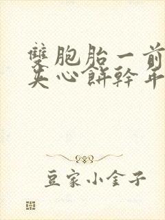 双胞胎一前一后夹心饼干年下封面