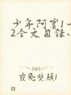少年阿宾1～72全文目录小说