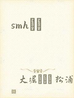 smhС˵