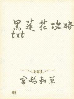 黑莲花攻略手册txt