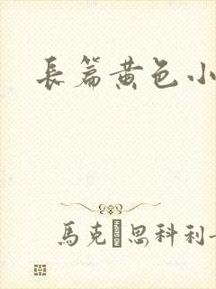 长篇黄色小说