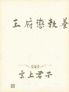 王府惩教养日常封面