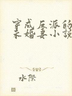 穿成反派的作死未婚妻小说