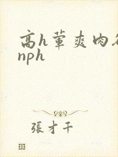高h荤爽肉欲文nph