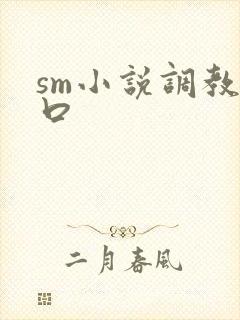 sm小说调教重口