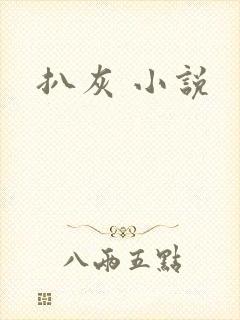 扒灰 小说封面