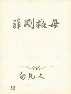 薛刚救母