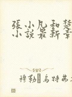 张小凡和楚清璇小说最新章节更新时封面