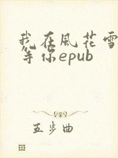 我在风花雪月里等你epub