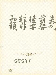和离后前夫死对头非要娶我小说
