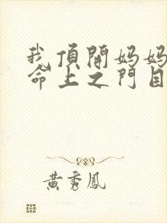 我顶开妈妈的生命上之门目录封面