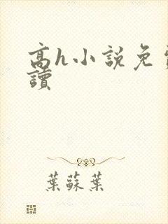 高h小说免费阅读封面