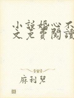 小说婚心不负全文免费阅读封面