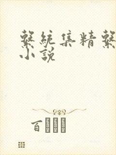 系统集精系统 小说